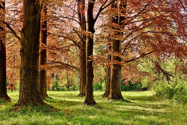 parques y jardines en burgos