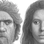 programacion museo de la evolucion humana